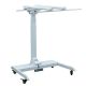 Motorized Floor Stand for RLF1500, RLF3000, RLF6000